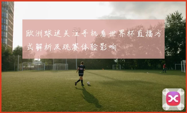 欧洲球迷关注手机看世界杯直播方式解析及观赛体验影响