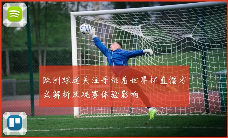 欧洲球迷关注手机看世界杯直播方式解析及观赛体验影响